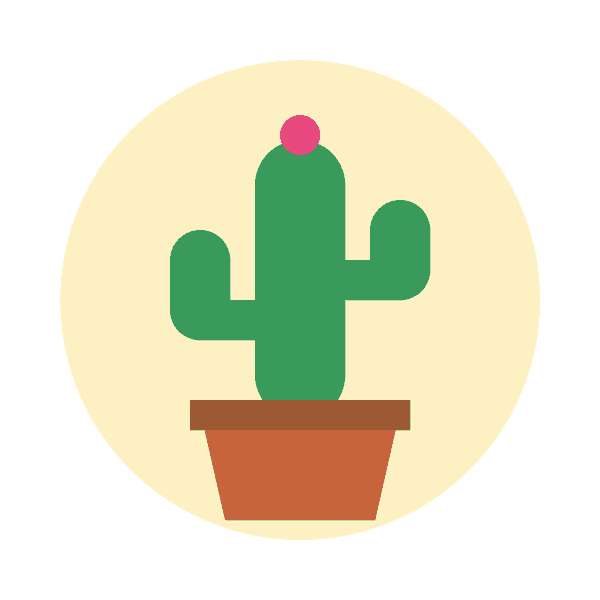 Animated GIF of a cactus in a pot whose flower changes color